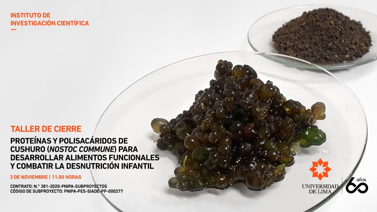 ULIMA - Taller de cierre: Proteínas y polisacáridos de Cushuro para combatir la desnutrición