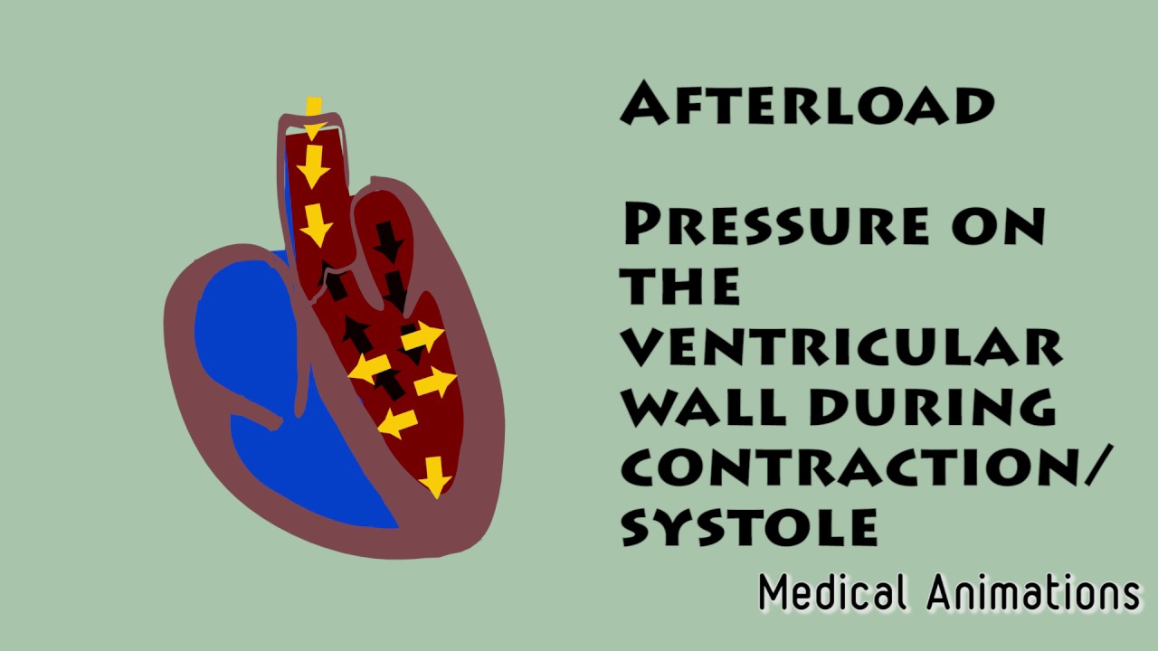 Preload VS Afterload