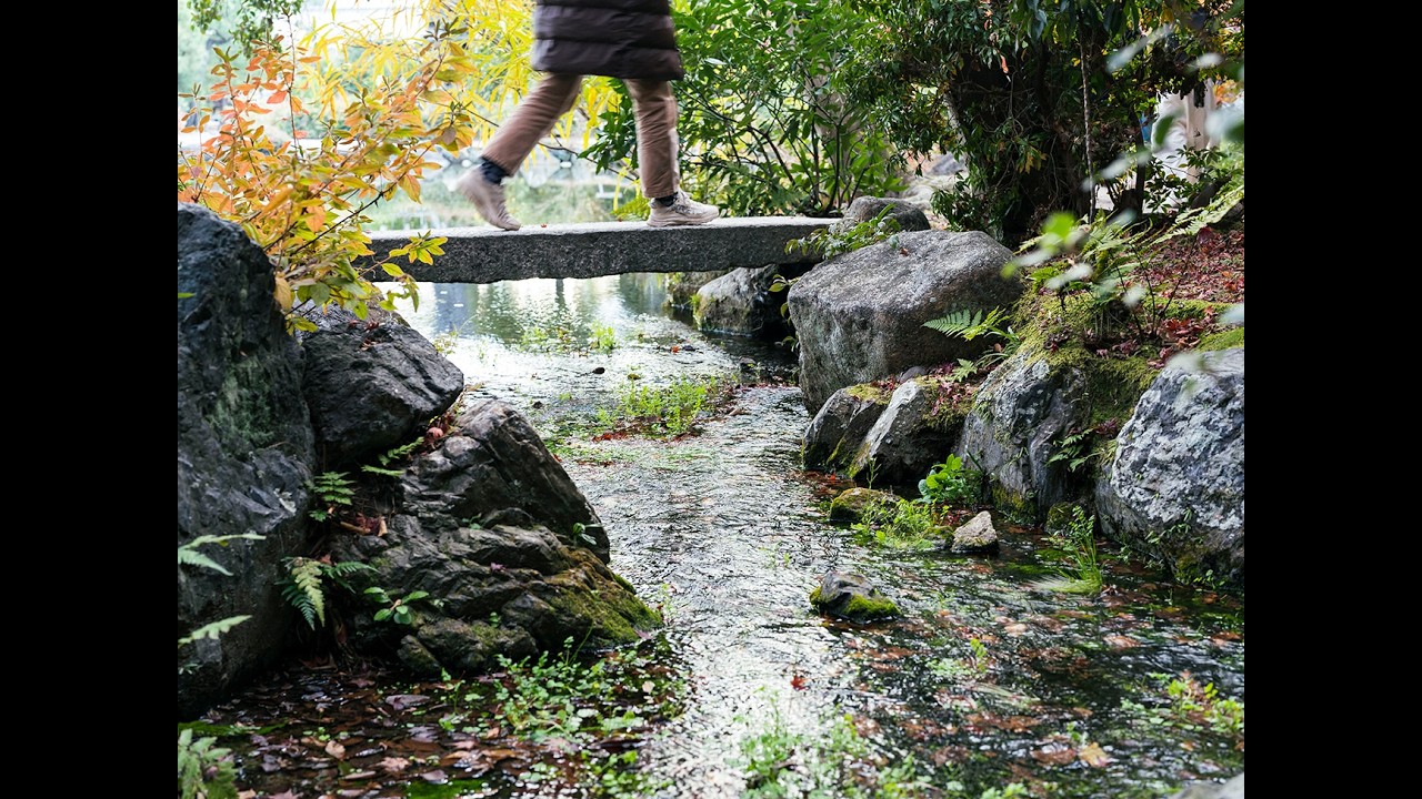 Unfolding the Cultural Ecology of Kyoto through Watershed Perspective