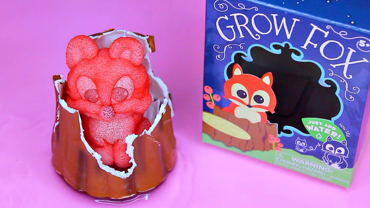 Grow a FOX! Toy Fox that GROWS! Growing Fox Time Lapse
