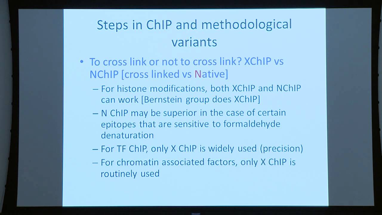 BroadE: Chromatin biology and ChIP methods