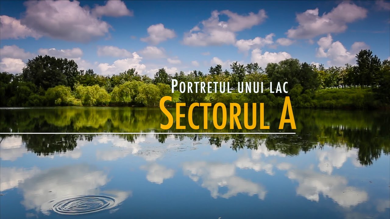 Portretul unui lac: Sectorul A
