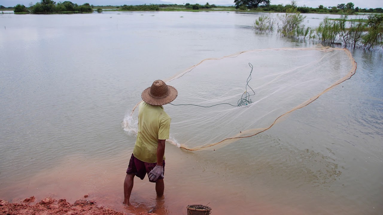 Where Does Seafood Come From?