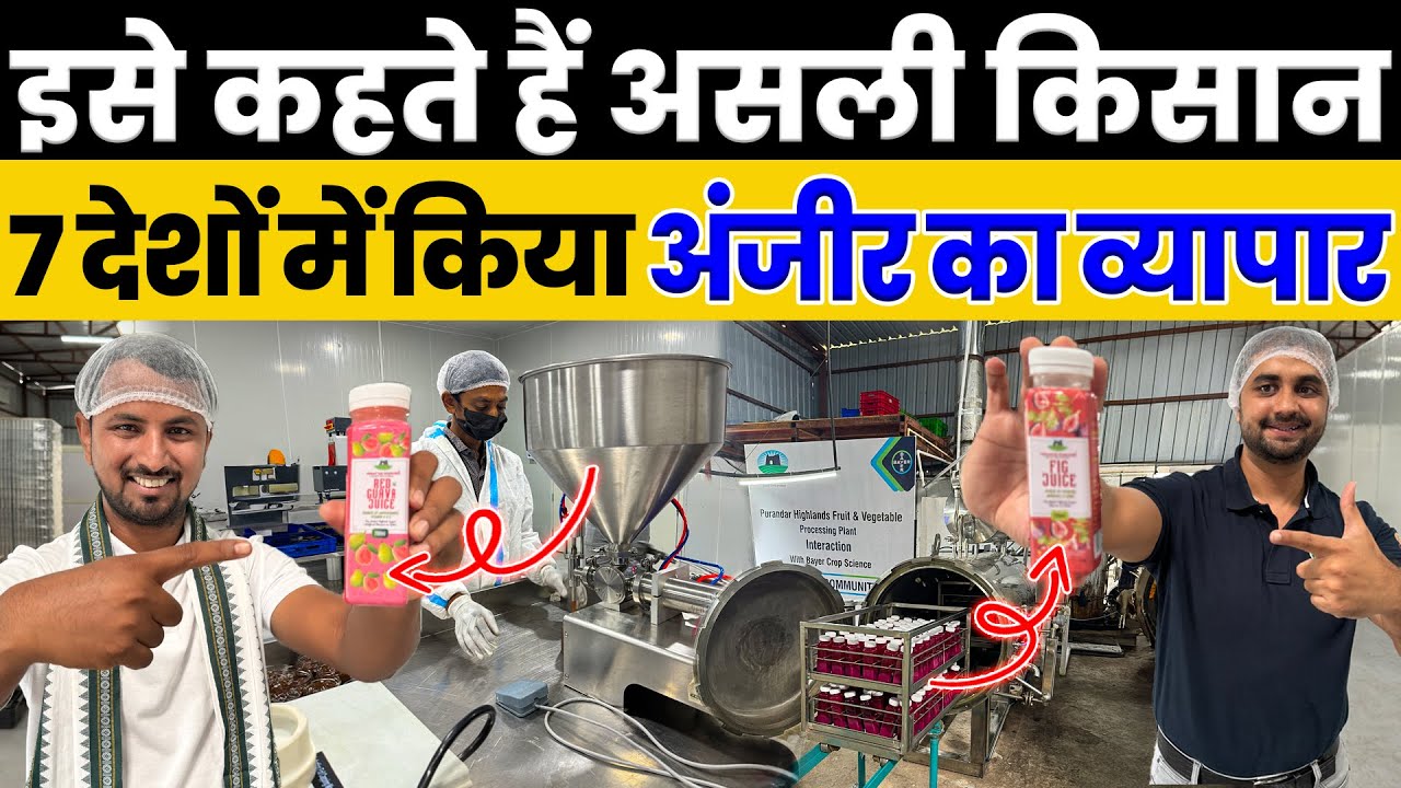 दुनिया की पहली अंजीर जूस की Factory😱🔥किसानों ने मिलकर बनाया करोड़ों का Business💯🤑Indian Farmer