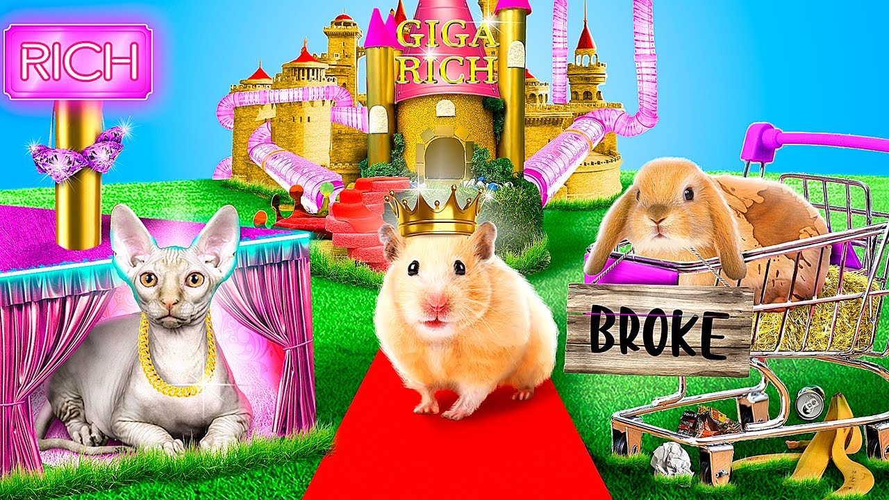 أحنا بنينا غرفة سرية للحيوانات الأليفة ! كلب غنى مقابل قطة فقيرة