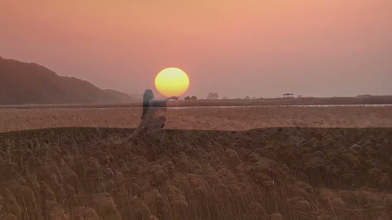 Enigma II. Voices in the Wind(영상 순천만 습지에서)