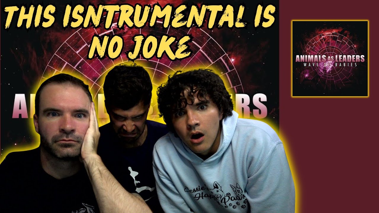 AN INSTRUMENTAL THAT ACTUALLY KEEPS YOUR ATTENTION - Animals as leaders - Waves of Babies (Reaction)