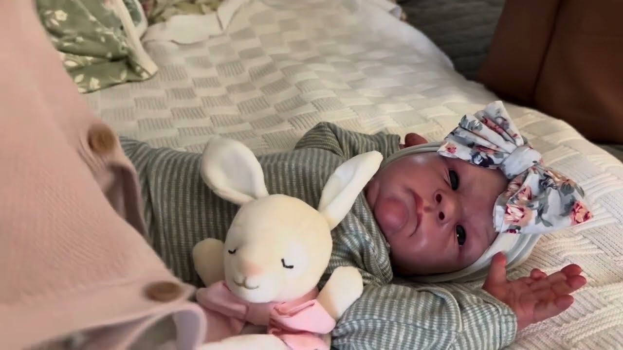 Changing & Reborn Baby Diaper Bag