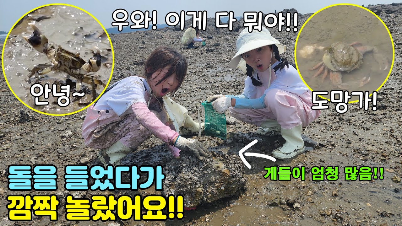[주말일상] 갯벌체험 왔는데 바지락,게,고동이 엄청 많아요!! 이거 다 어떻게 갖고가지???🦀🐚🦐 가족일상 브이로그 | 뚜아뚜지TV