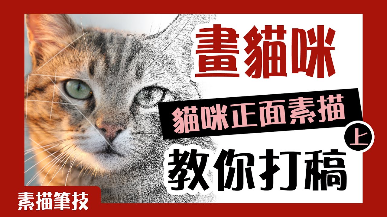 畫貓咪｜貓咪正面素描-教你打稿（上)