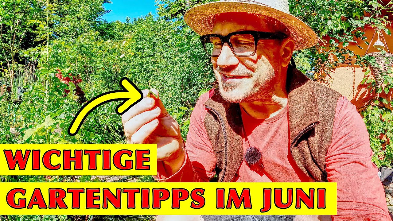 Der Selbstversorger-Garten im Juni: Mit Hühnern, Puten, Hochbeeten und vielen Gartentipps.