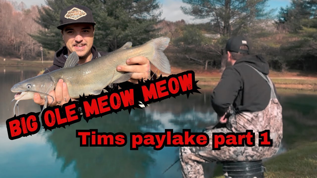 Tim’s paylake London KY