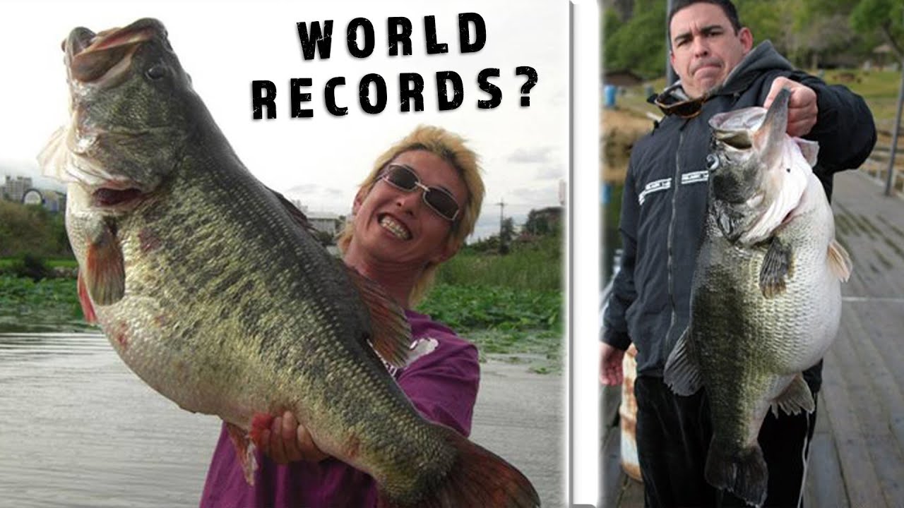 TWO SECRETS To Catch BIGGER BASS Than You EVER HAVE! (New PB Bass)