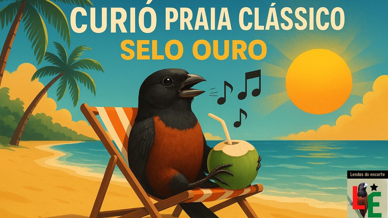 Curi&oacute; selo OURO GP PRESENTE   BER&Ccedil;&Aacute;RIO 3 3 6 3 9 ‐
