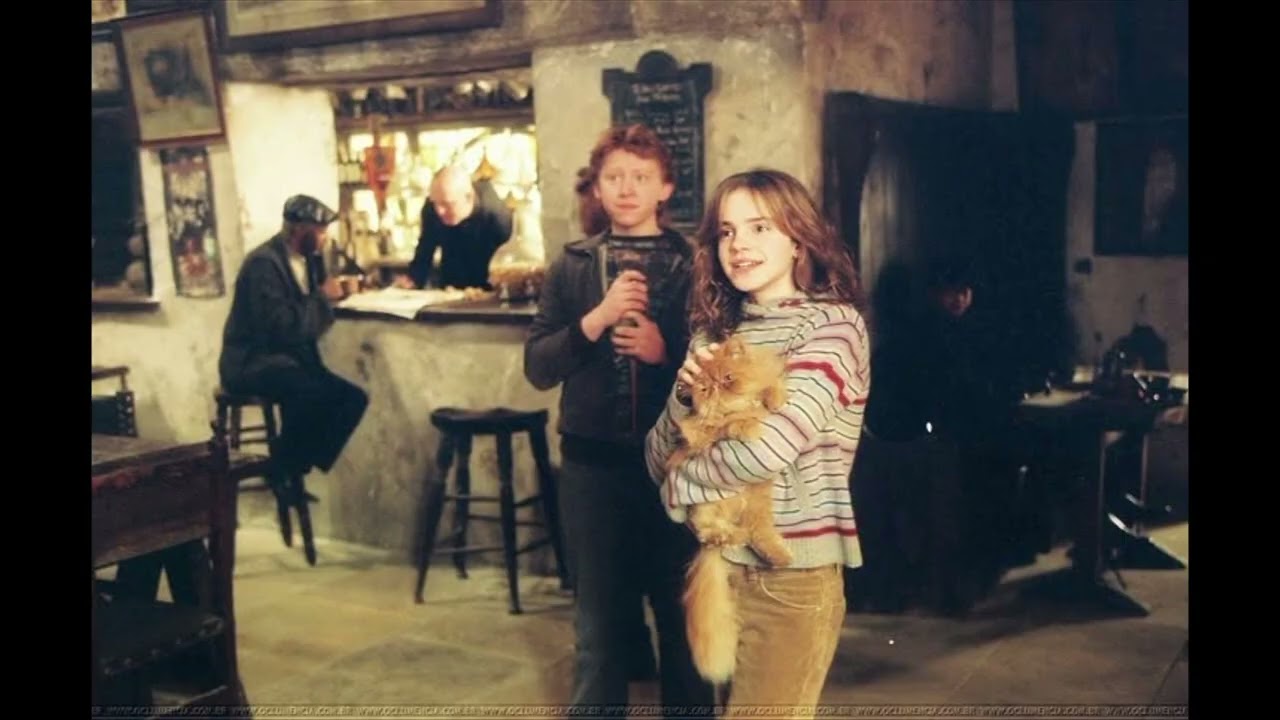 Ron and Hermione Shape Of You