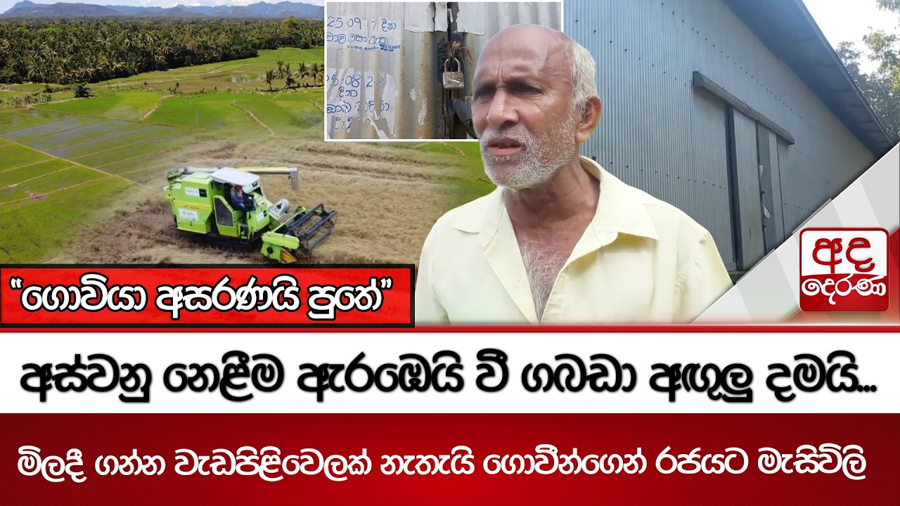 අස්වනු නෙළීම ඇරඹෙයි වී ගබඩා අඟුලු දමයි...මිලදී ගන්න වැඩපිළිවෙලක් නැතැයි ගොවීන්ගෙන් රජයට මැසිවිලි