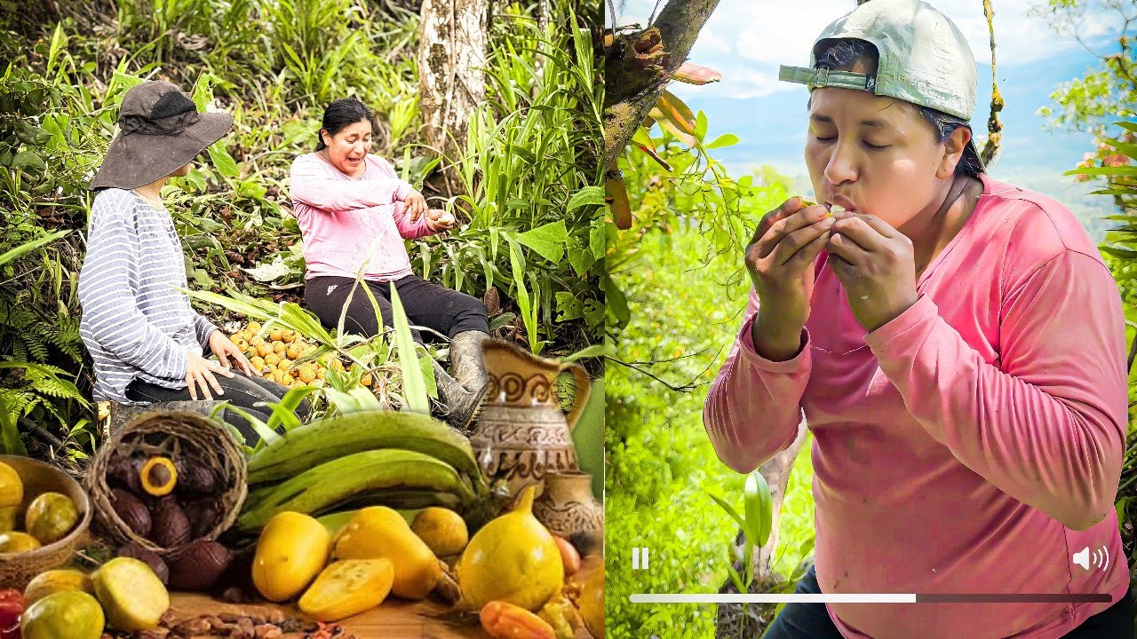 Llego el día de  ir a las montañas y cosechar esta deliciosa fruta