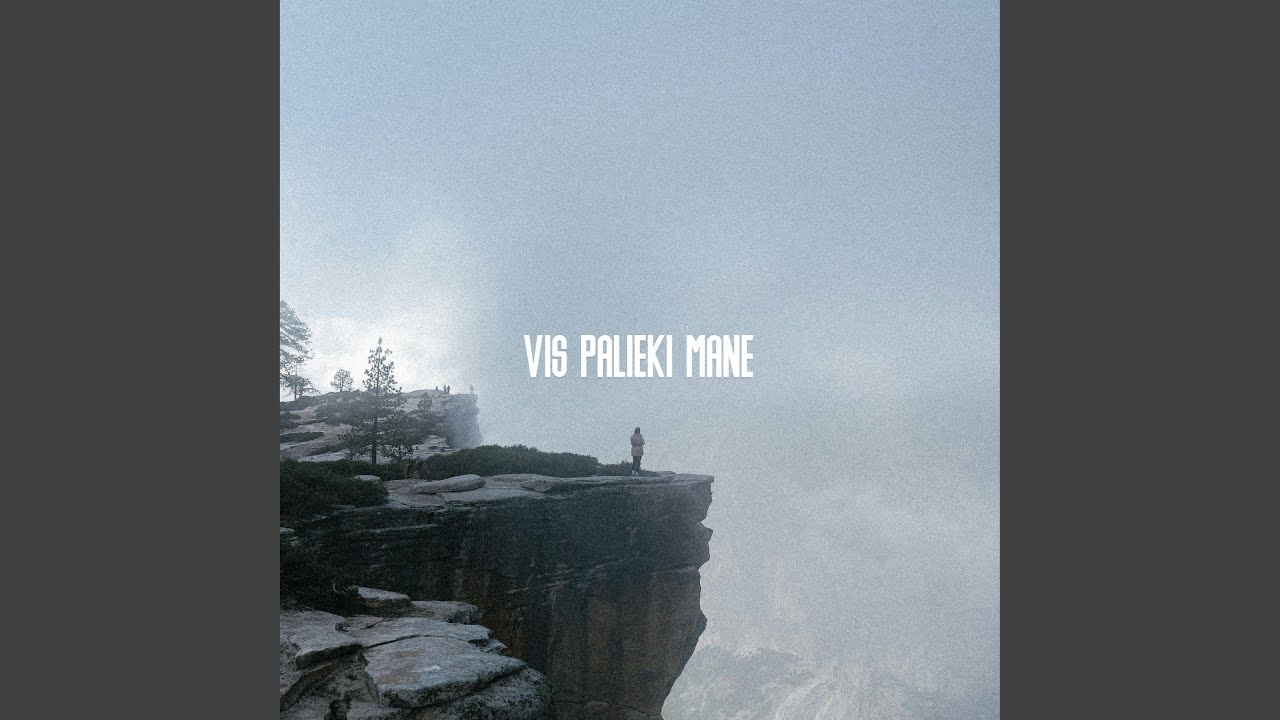 Vis Palieki Mane