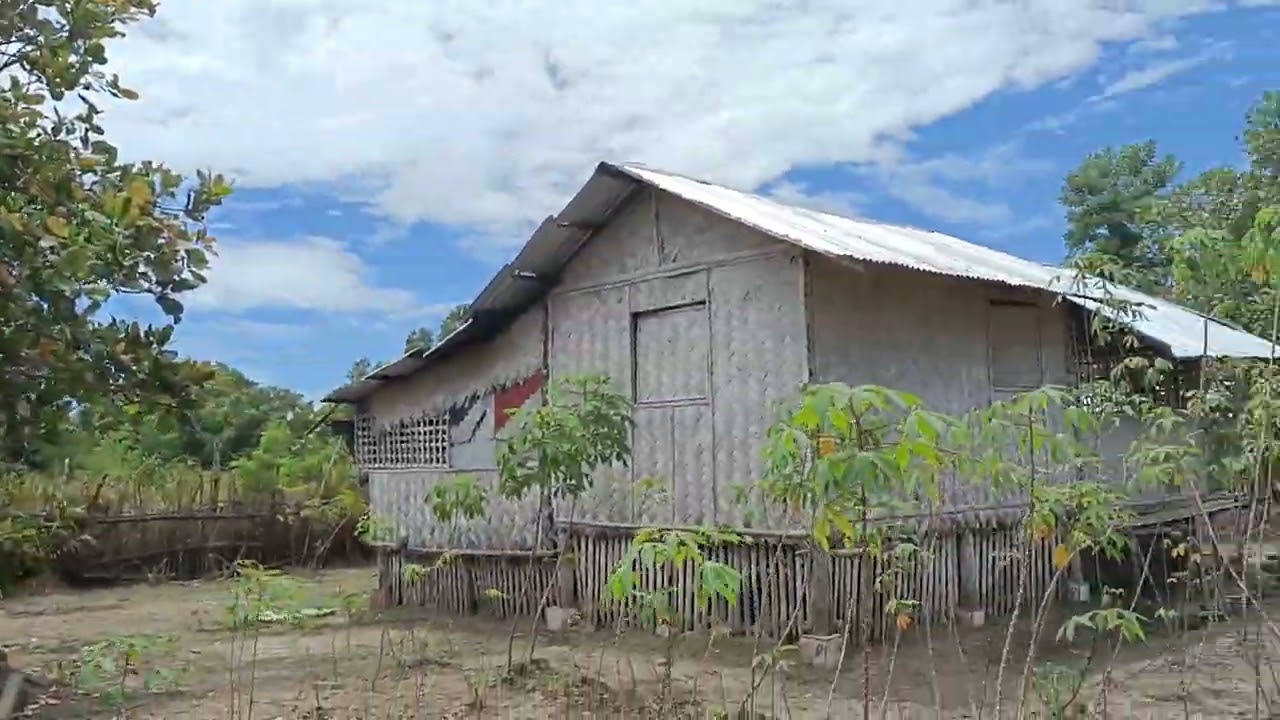 My Sisteret 600sqm Mini-Farm in Aborlan, Palawan (Oct 1, 2022) travel ni Sarai.