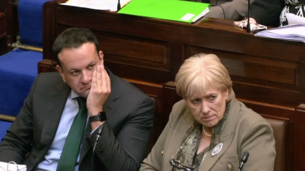 Irish Government spends €808k on Ukrainian pets