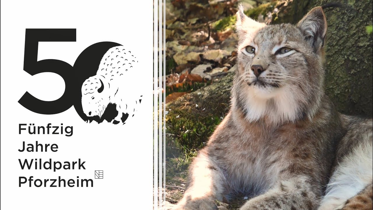 50 Jahre Wildpark Pforzheim