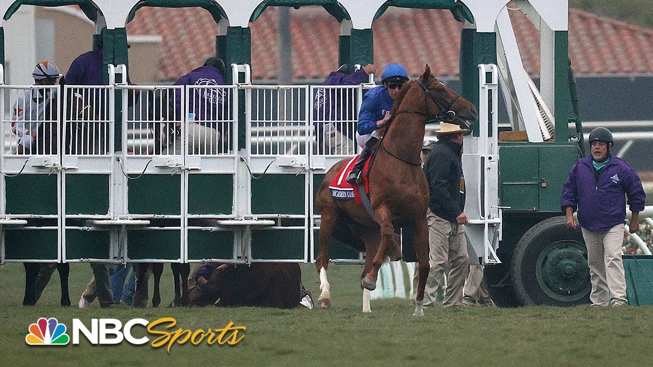 Albahr trapped under the gate before the 2021 Breeders' Cup Juvenile Turf | NBC Sports