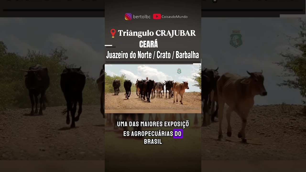 Juazeiro do Norte, Crato e Barbalha: Conhe&ccedil;a o Tri&acirc;ngulo CRAJUBAR no Cear&aacute;. a Riqueza do Sert&atilde;o!