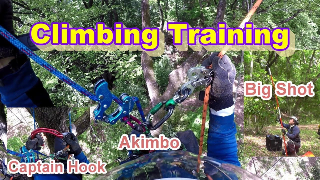 ﾂﾘｰｸﾗｲﾐﾝｸﾞ練習 akimbo, big shot, Captain Hook ,tree climbing training