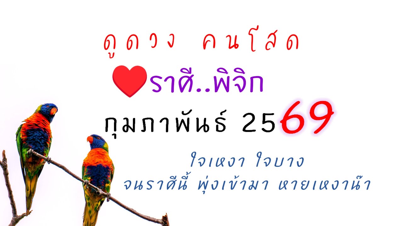 🔔ดวงกุมภาพันธ์ กุมภารัก ☺️ #ดูดวงความรัก #ราศีพิจิก ♥️ราศีคู่พื้นดวงคนแต่ละวัน⭐รักดีๆจะแวะมาหาแล้ว✨