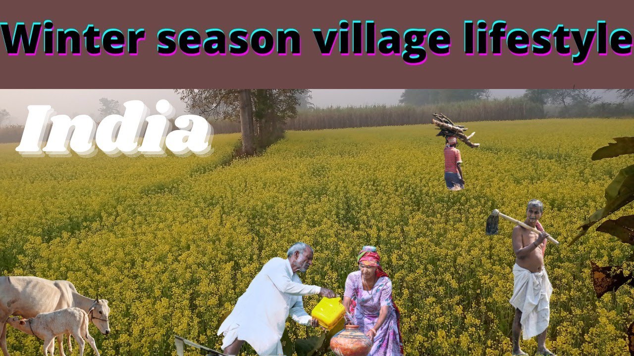 beautiful view winter season/real life India in Uttar Pradesh//India rural desi life Uttar Pradesh