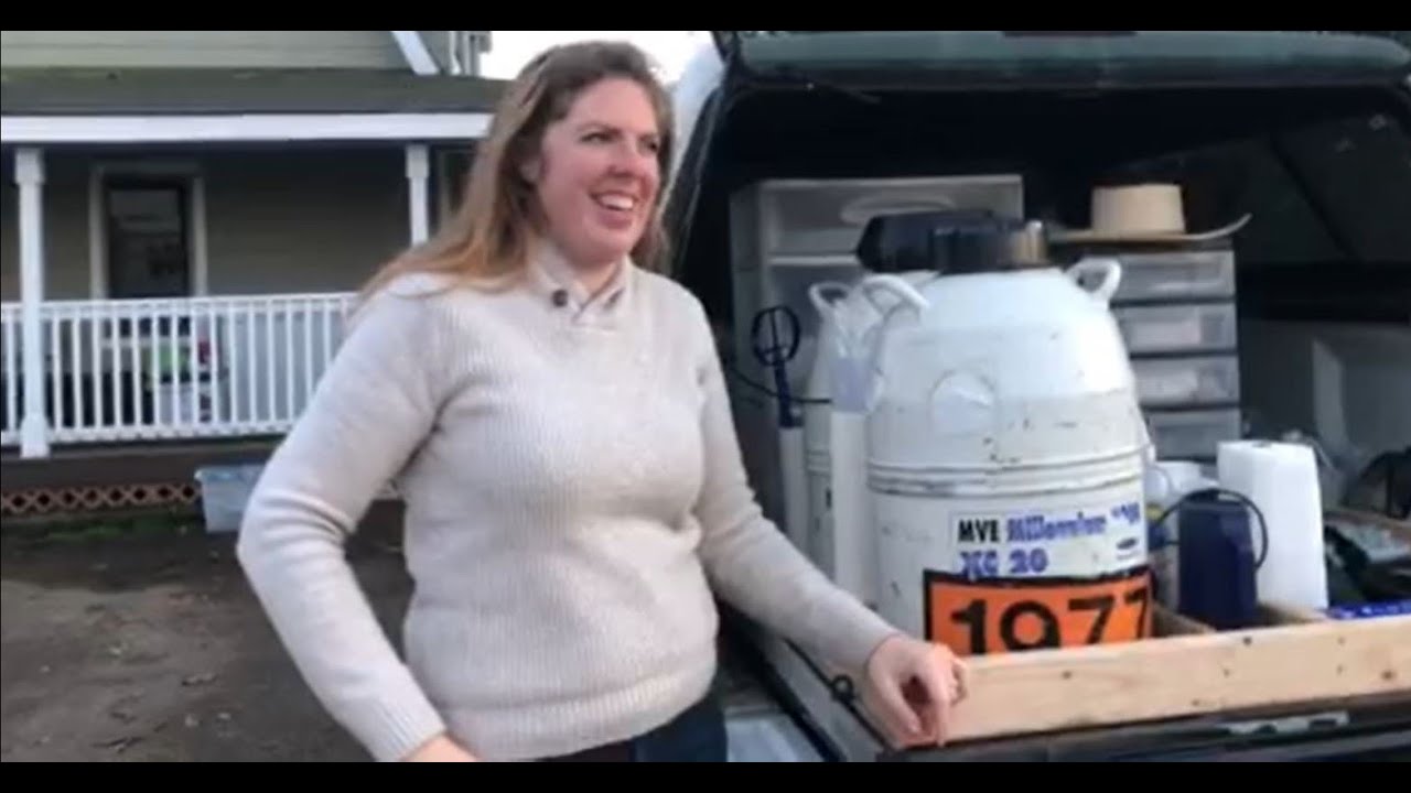 Liquid Nitrogen Tank - A Buyer's Guide