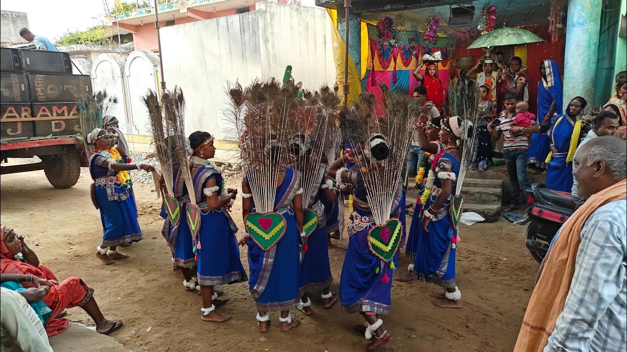 !! छत्तीसगढ़ सुवा नृत्य !! छत्तीसगढ़ का परंपरा सुवा नृत्य !! 