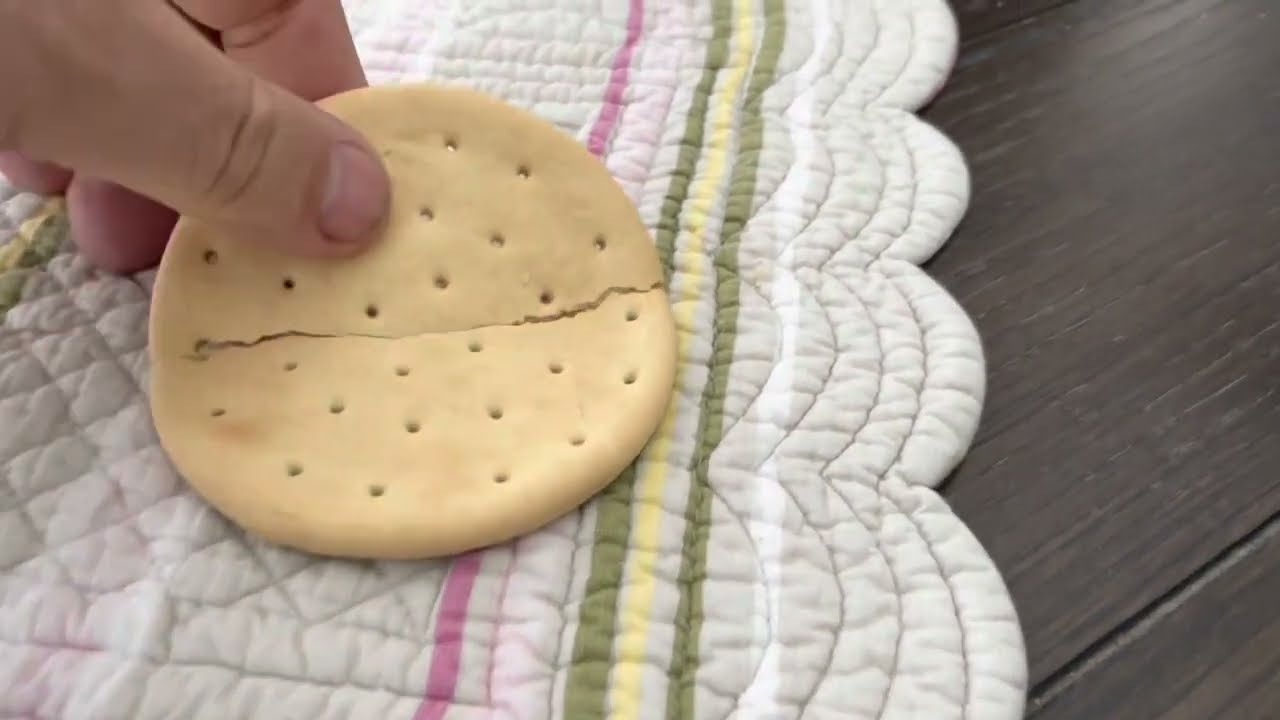 Pilot bread cracker taste test