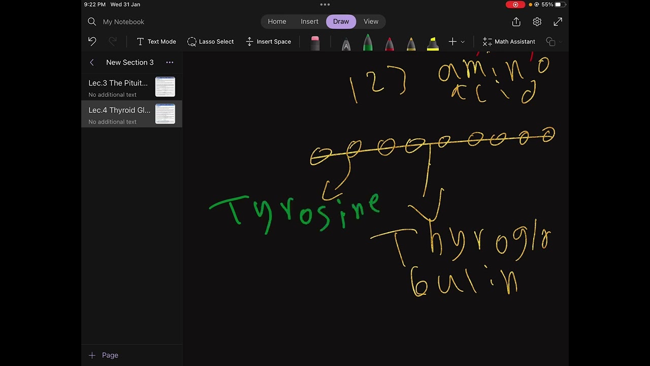 Physiology LC4-P1