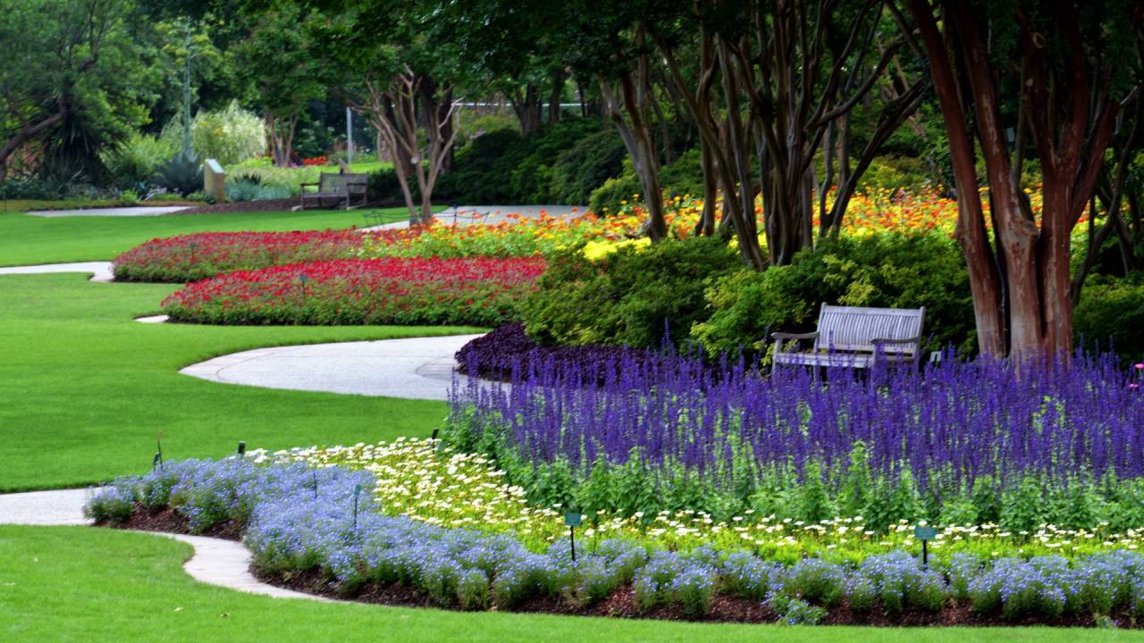 Summer at the Dallas Arboretum