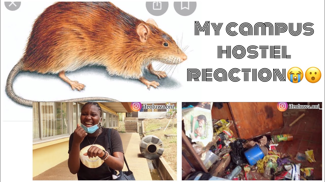 Back to school: My OAU campus hostel first reaction...after one year + settling down | Ifeoluwa Oni