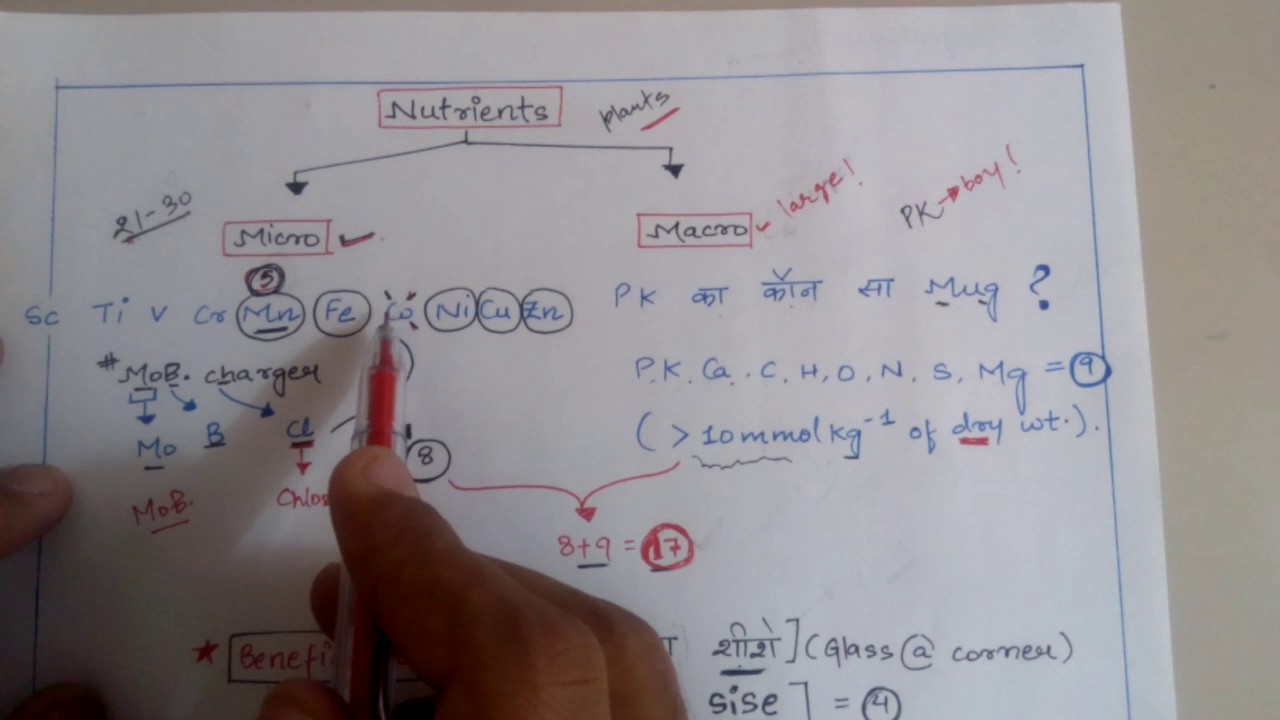 Trick to learn micronutrients and macronutrients for NEET ,AIIMS ,JIPMER, KVPY etc. Biology exams .