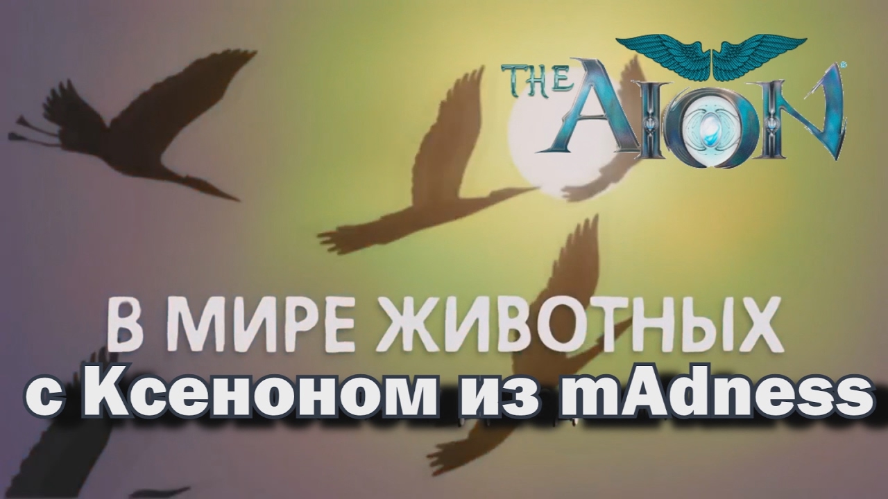 Aion 3.0 Sorcerer PvP - В мире животных с Ксеноном из mAdness