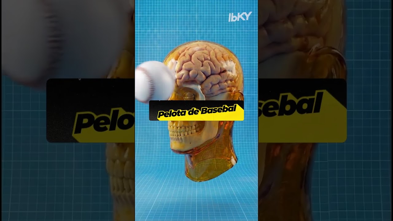 Cual de estas PELOTAS resistiría tu CRANEO? 