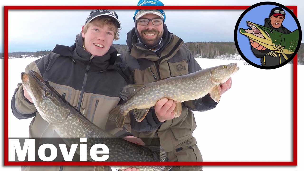 🎣 SUCCESVOL IJSVISSEN OP (GROTE) SNOEKEN IN ZWEDEN 🎥  snoeken | ijsvissen | wintervissen | ijs #30