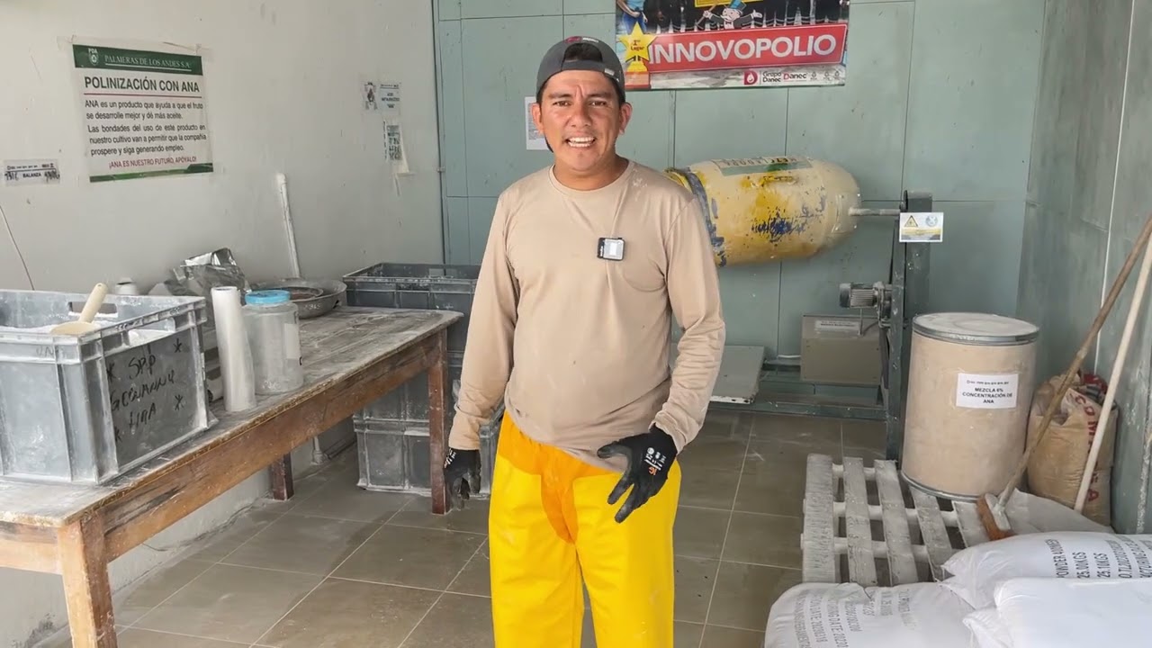 Aventuras de Leo - Cómo realizar una buena mezcla sólida para polinizar palma de aceite híbrida.