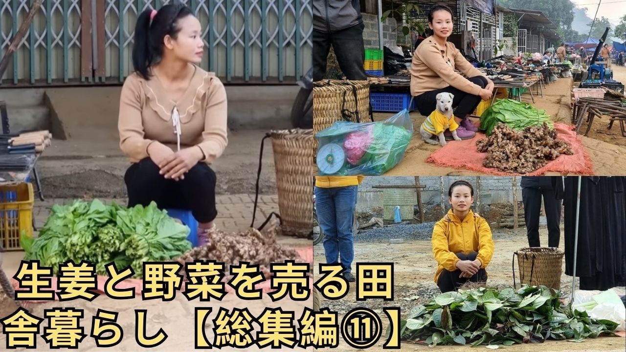 生姜と葉物、そして発酵｜田舎の市場の日常【総集編⑪】
