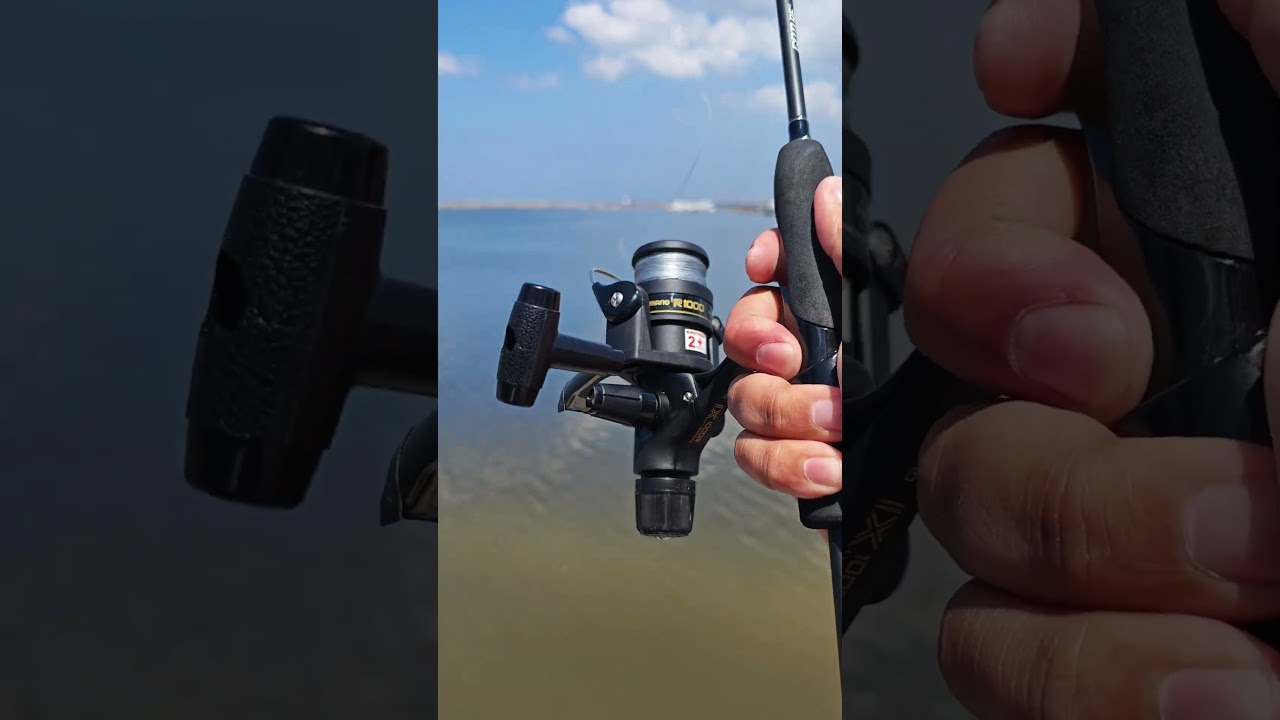 Shimano Reel Casting #shorts #fishing #casting #fishingreel  #ultralightfishing #youtubeshorts