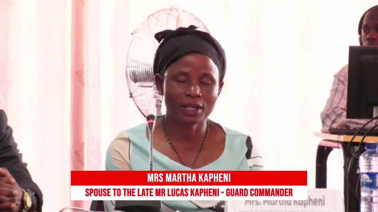 PARLIAMENT OF MALAWI | Parliamentary Ad-Hoc Committee on the June 10, 2024 Chikangawa Plane Crash