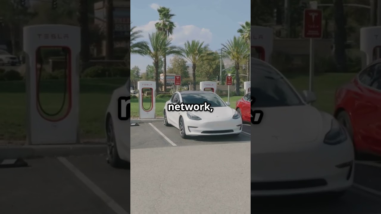Tesla's $2,000 Offer for Model Y Owners! #teslamodely #elonmusk