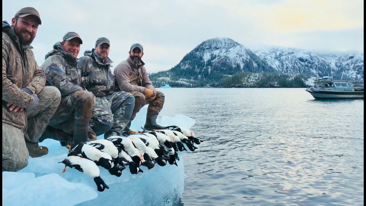Barrows Goldeneye Beatdown- Alaska Wildfowl Duck Hunt