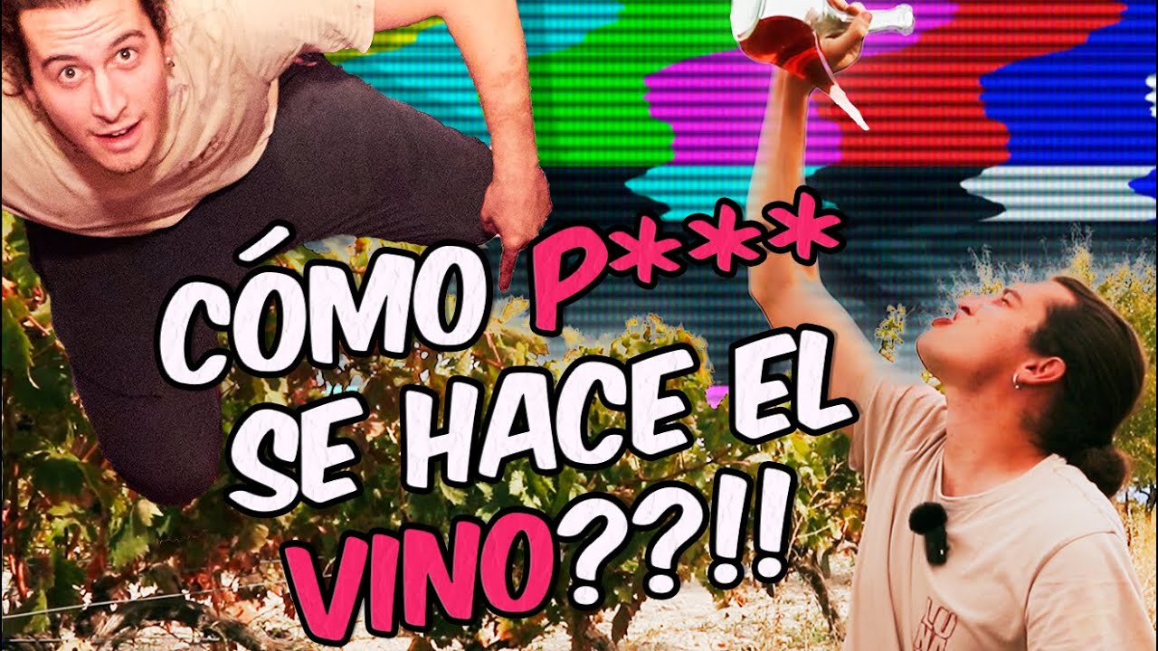 #1 | CLARETE DE LUNA | ¿Cómo hacemos el vino en una bodega?