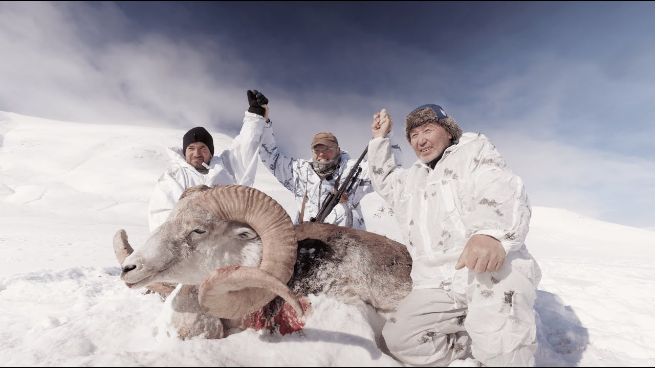 Das Dach der Welt – Chris Balke auf der Jagd nach dem Marco Polo Argali – JÄGER