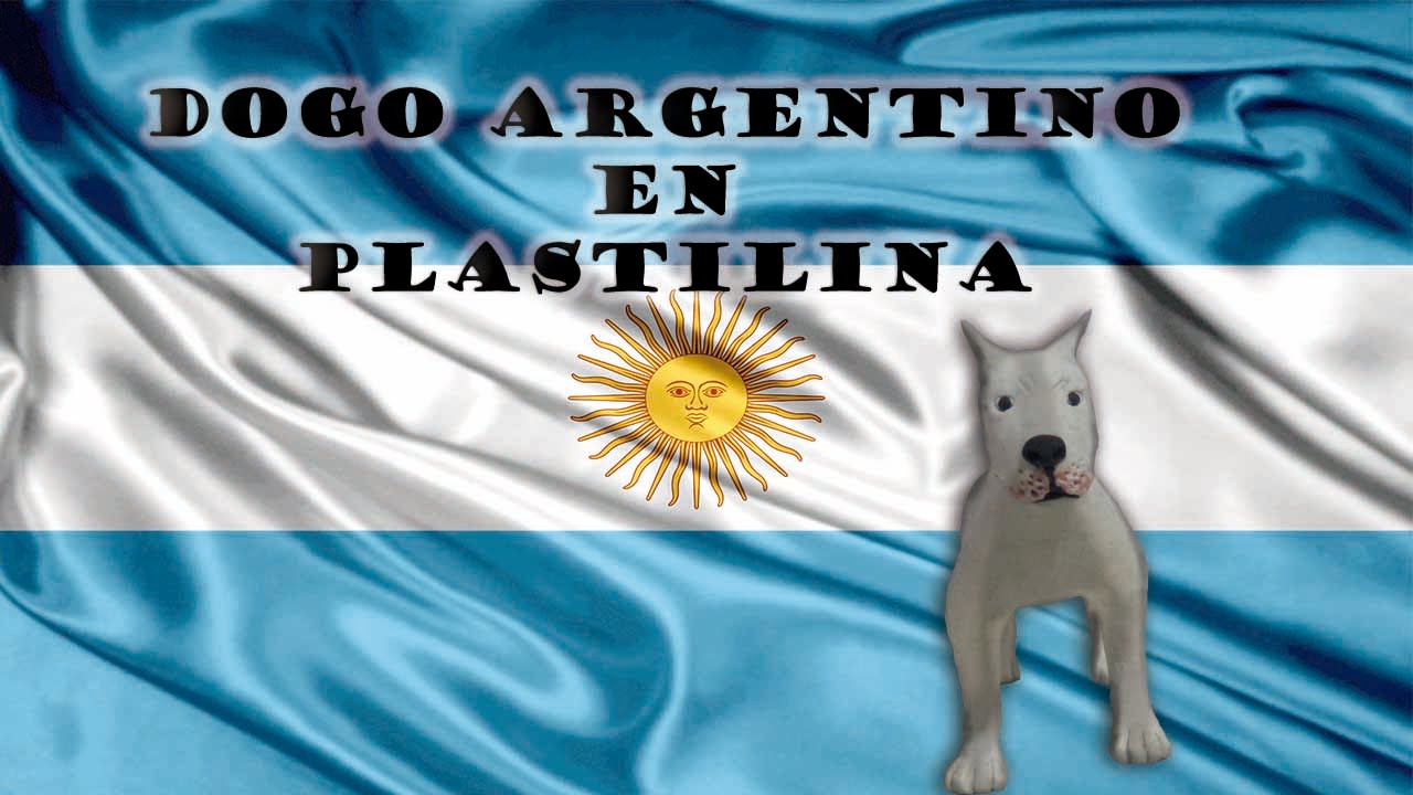 Dogo argentino en plastilina / Dogo argentino with clay