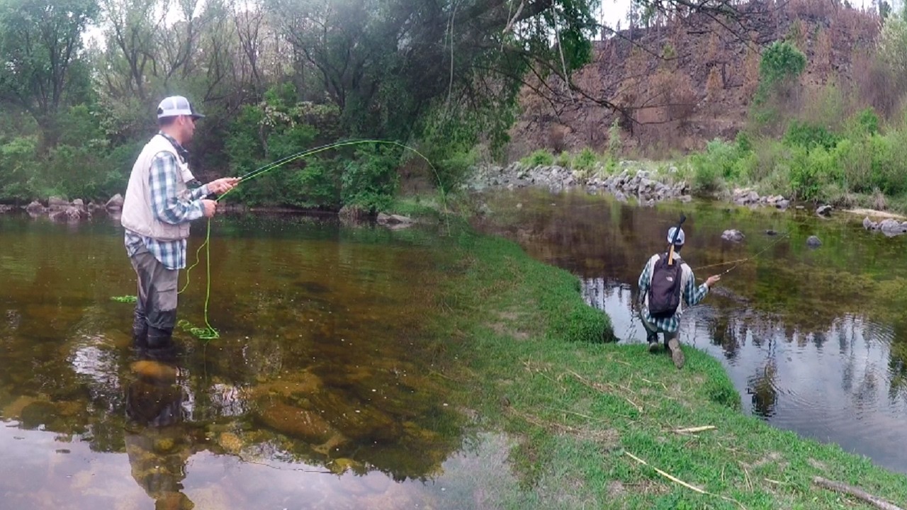 Pescando TRUCHAS con MOSCA en un río de las sierras de CORDOBA